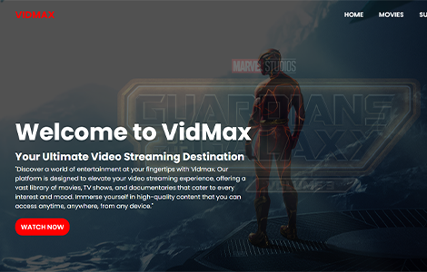 VidMax Website Image